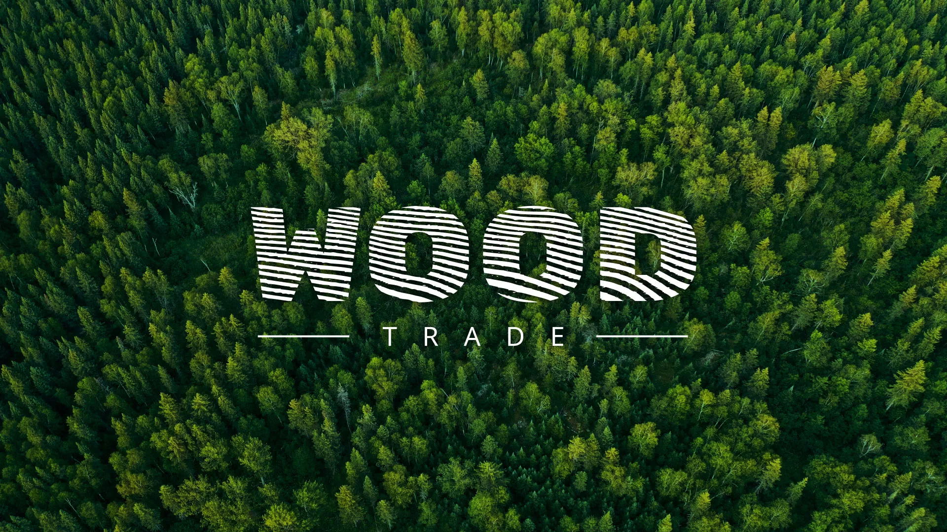 Разработка интернет-магазина компании «Wood Trade» в Дербенте